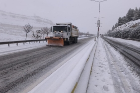 Elazığ, Bingöl, Siirt, Şırnak ve Mardin'de 770 yerleşim yerine ulaşım