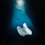 En çok mikroplastik Bozburun'da tespit edildi