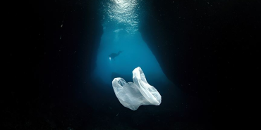 En çok mikroplastik Bozburun'da tespit edildi