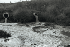 Gerede Çayı zehir akıyor: 355 bin insan tehdit altında