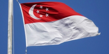 Singapur'da dolandırıcılara "kırbaç cezası" öngören yasa 30 Aralık'tan itibaren uygulanacak