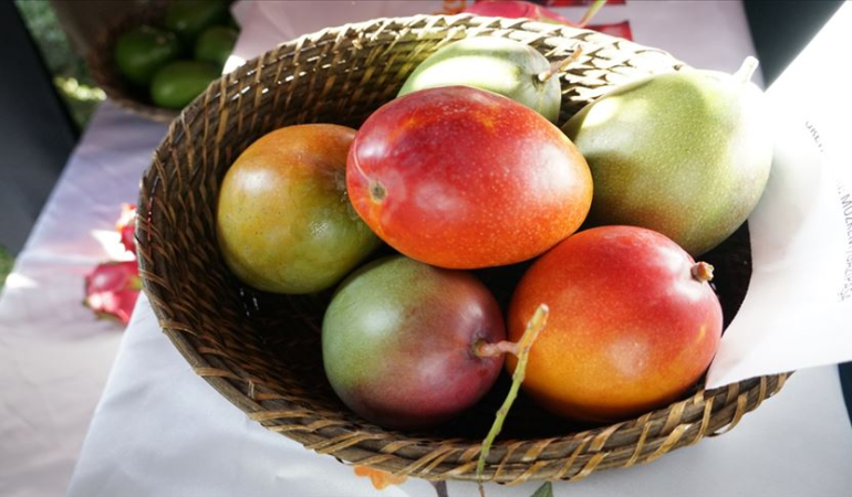 Mango Nedir? Faydaları Nelerdir?