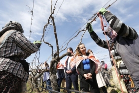 CHP'li Başkan Özalper: Üretimin devamı için düzenlemeyi geri çekin