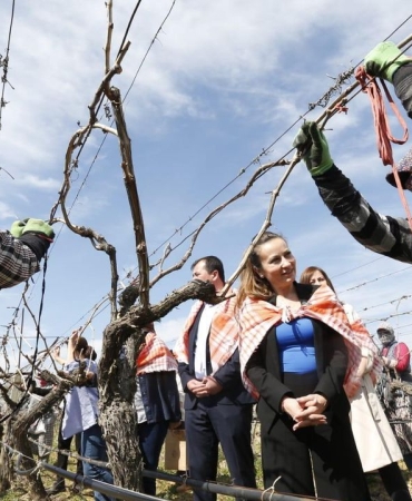 CHP'li Başkan Özalper: Üretimin devamı için düzenlemeyi geri çekin