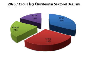 İSİG Meclisi 2025 Raporu: Çocuk İşçiliği "Can" Almaya Devam Ediyor