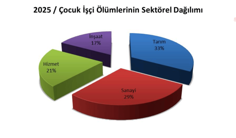 İSİG Meclisi 2025 Raporu: Çocuk İşçiliği “Can” Almaya Devam Ediyor