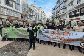 Ordu Çevre Derneği, betonlaşmaya karşı 8. yürüyüşünü yaptı