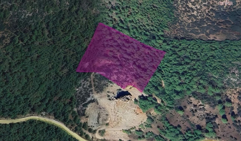 DSİ’den Muğla’da ormanlık alana maden ocağı projesi