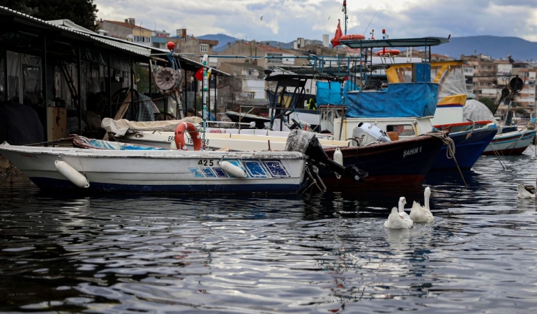 Bursa'da balıkçılara yüzde 100 hibeli mazot desteği: Balık sizden, mazot