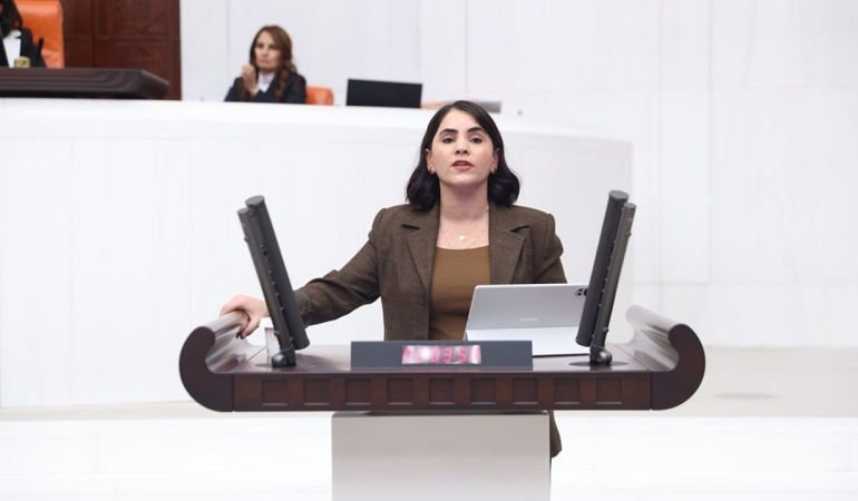 DEM Partili Aslan'dan "Cizre Bodrumları" için Meclis Araştırması talebi