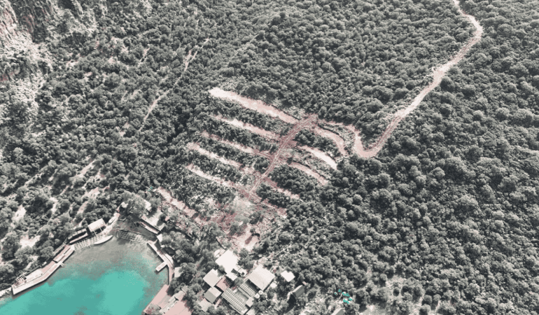 Kaş Çevre ve Kültür Derneği: Limanağzı’nda doğa ve zeytinlikler rant