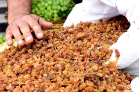 Manisa’nın kuru üzümüne en çok Birleşik Krallık rağbet ediyor