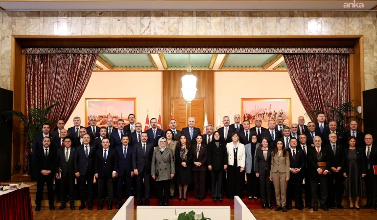 TBMM Başkanlığı: Milli Dayanışma, Kardeşlik ve Demokrasi Komisyonu Raporu, nitelikli