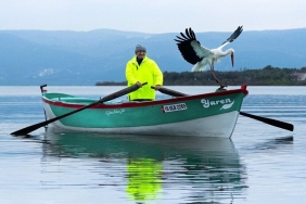 Yaren leylek 15'inci kez Karacabey'e döndü