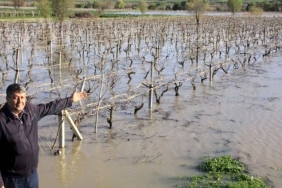 Ziraat Odası Başkanı Okur’dan “Gediz boşa akıyor” feryadı