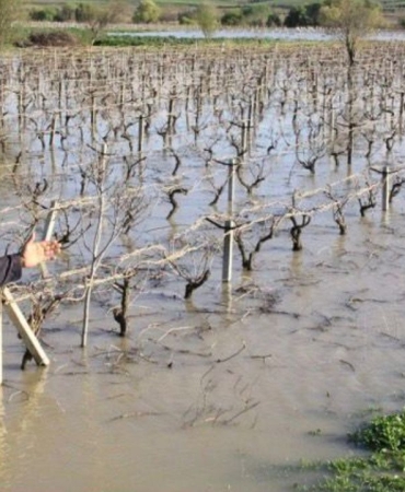 Ziraat Odası Başkanı Okur’dan “Gediz boşa akıyor” feryadı