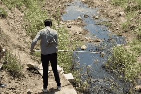 İzmir Körfezi ve tarım toprakları kirliliğin kıskacında