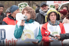 Kuzey Ormanları Savunması’ndan Belgrad Ormanı’nda su günü eylemi: Belgrad’ın suyunu