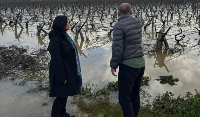 Manisa ovası sele mahkûm: Kadın Başkan Aytaç yerinde tespitte bulundu